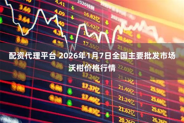 配资代理平台 2026年1月7日全国主要批发市场沃柑价格行情