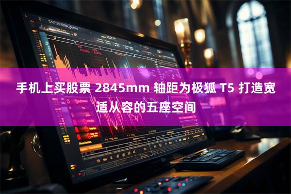 手机上买股票 2845mm 轴距为极狐 T5 打造宽适从容的五座空间
