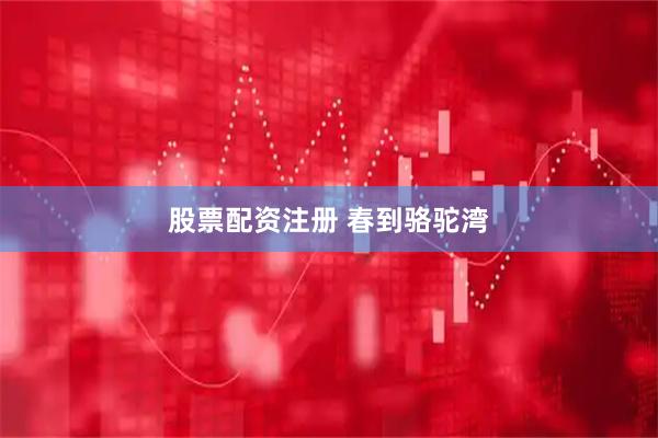 股票配资注册 春到骆驼湾